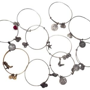 Alex and Ani Silver and Gold Charm Bracelets